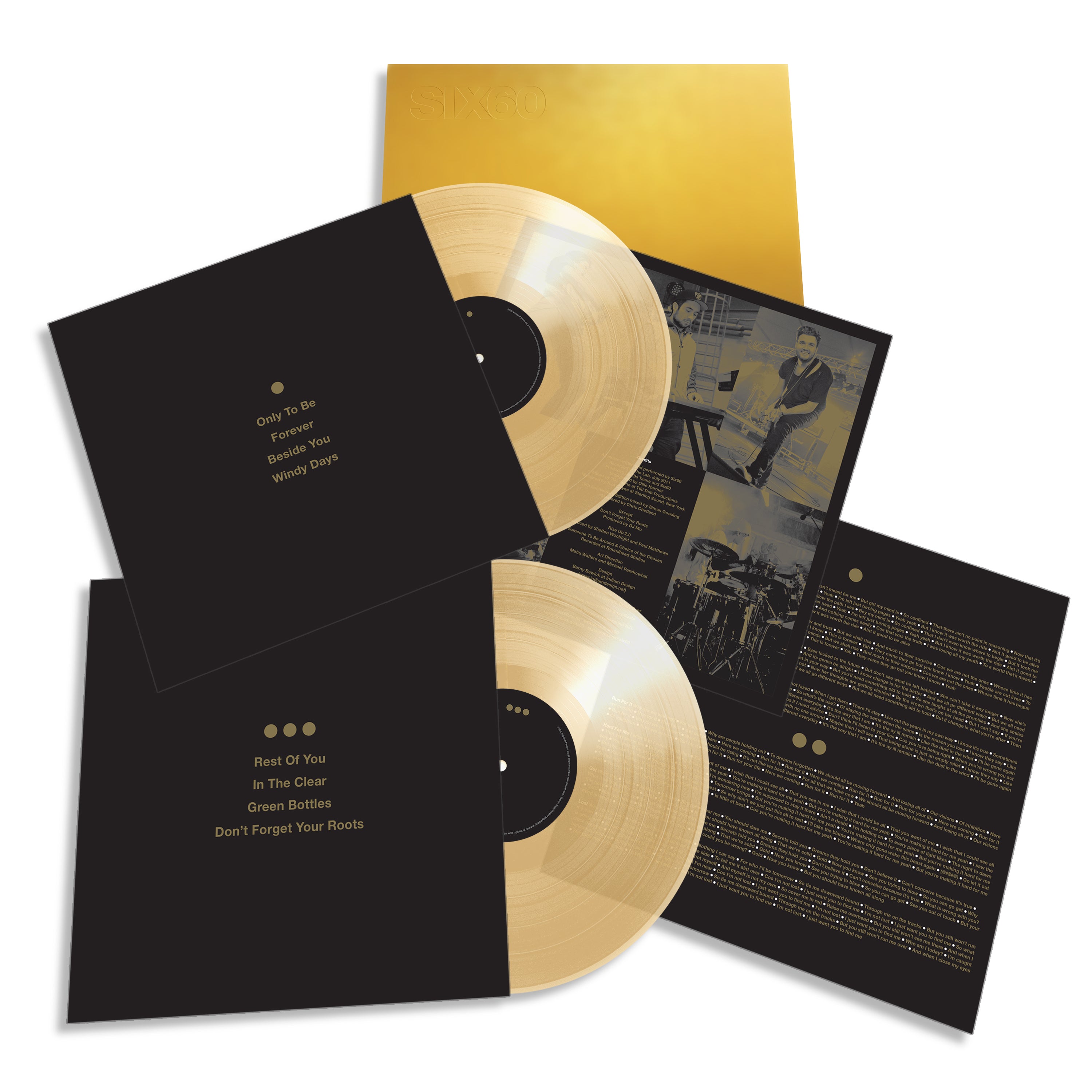 GOLD VINYL (2011)